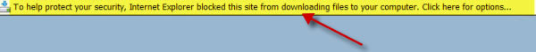 Change IE Security Settings to Enable File Downloads